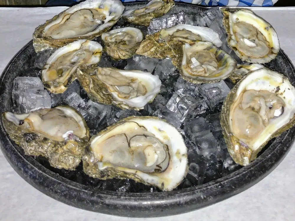 12 Oysters on the Half Shell Appetizer